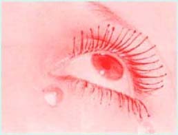 tearsab.JPG (9049 byte)