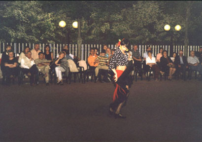 flamenco.jpg (32856 byte)