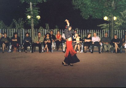 flamenco2.jpg (26378 byte)