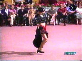 flamenco1.jpg (21036 byte)