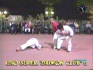 jujitsu3.jpg (19728 byte)