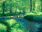 landscape1.jpg (14195 byte)