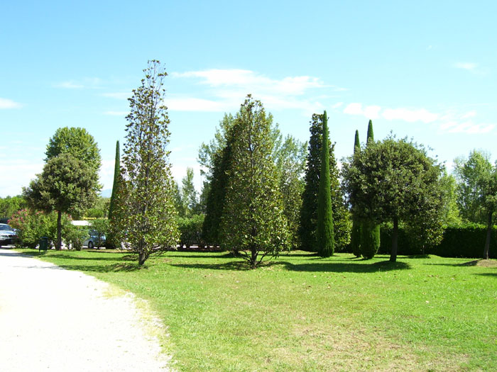Immagine 008a