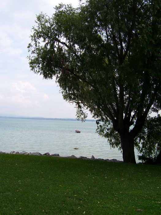 Immagine 012