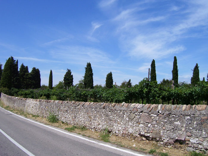 Immagine 030