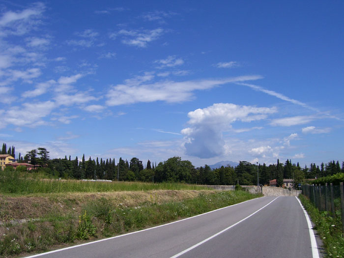 Immagine 031