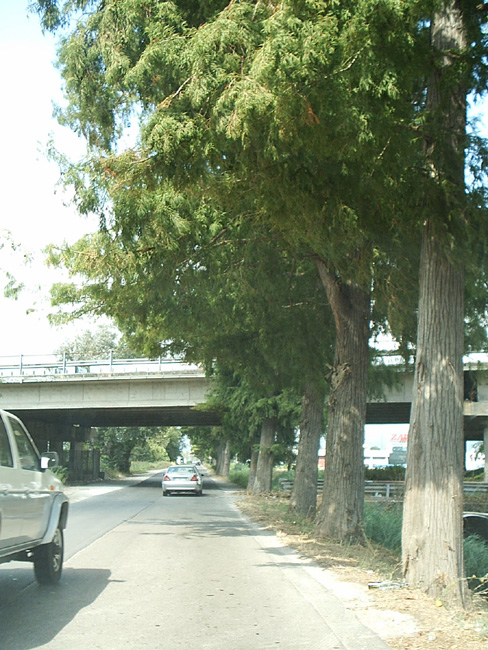 Pic_0044b