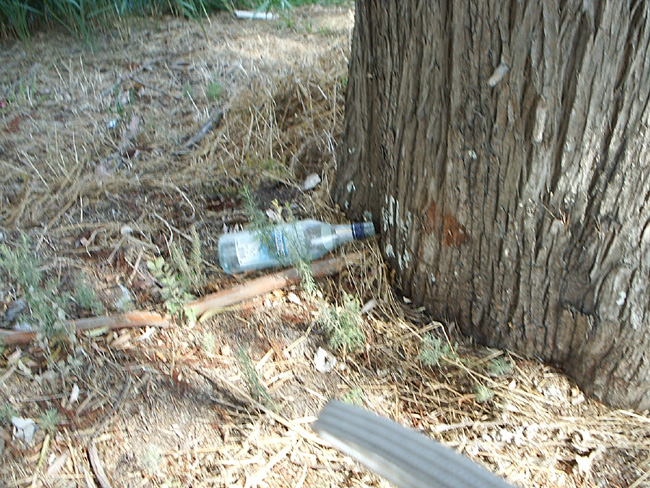 Pic_0045b