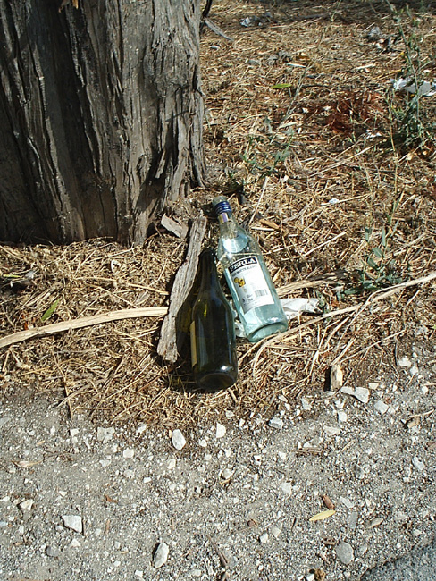 Pic_0046b