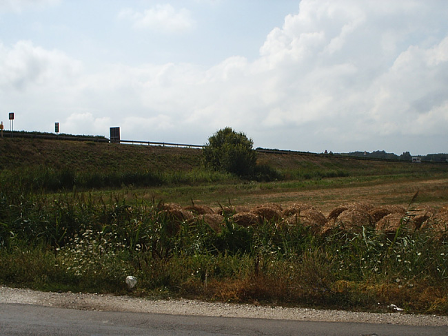 Pic_0052b