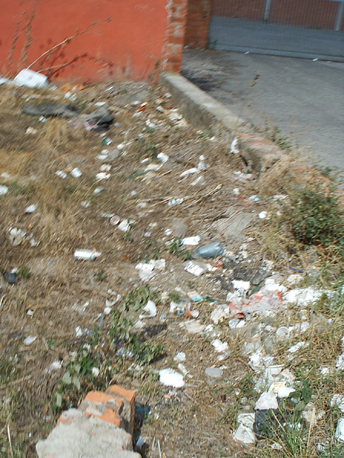 Pic_0059b