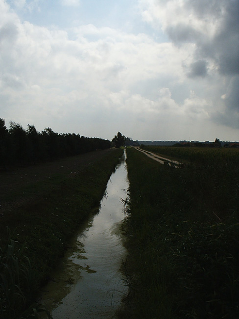 Pic_0069b