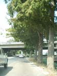 Pic_0044b
