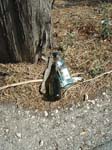 Pic_0046b