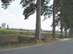 Pic_0053b