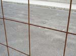 Pic_0055b