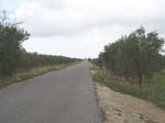 Pic_0066b