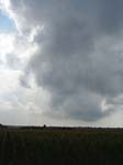 Pic_0072b