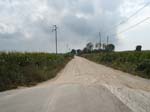 Pic_0074b