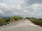 Pic_0075b