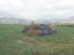 Pic_0077b
