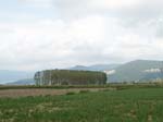Pic_0078b