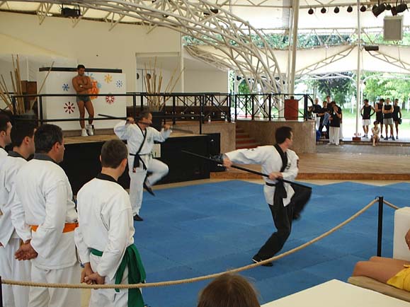 karatedo.jpg (65415 byte)