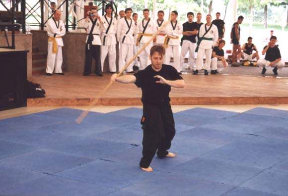 kung-fu.jpg (36295 byte)