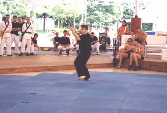 kung-fu1.jpg (38301 byte)