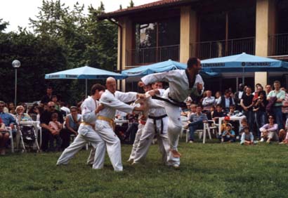 festaparco24.jpg (30536 byte)