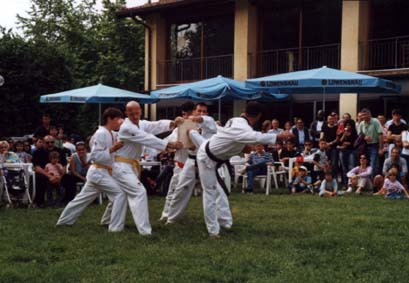 festaparco25.jpg (28829 byte)