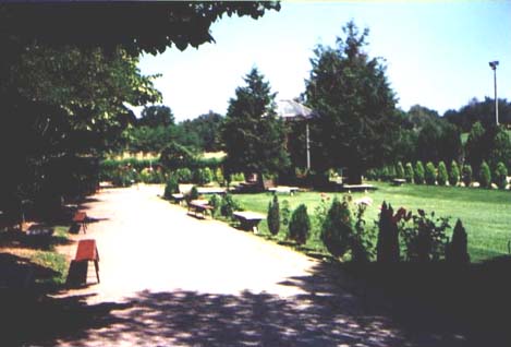 fontanelle1b.jpg (29209 byte)