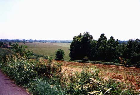 fontanelle80.jpg (34276 byte)