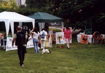 festaparco7.jpg (26058 byte)