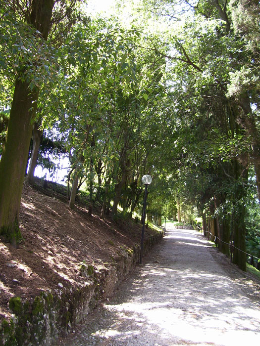 Immagine 069
