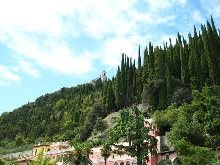 alberi_maderno