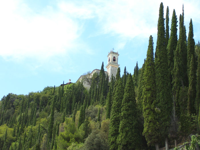 pini_maderno