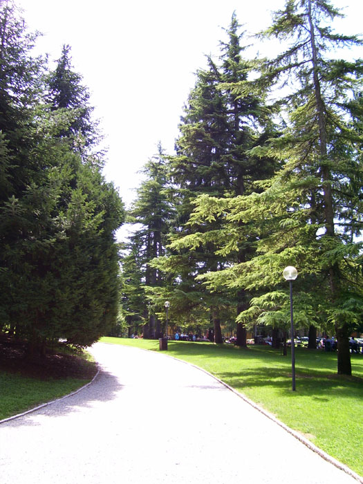 villa_dei_cedri_lazise