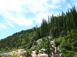 alberi_maderno