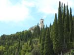 pini_maderno