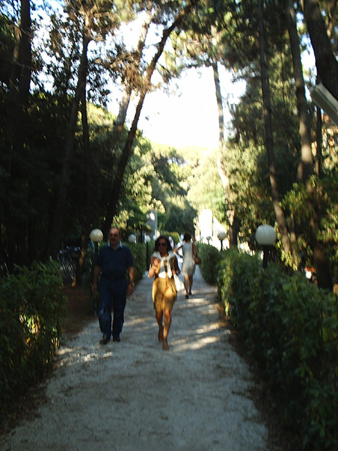 PIC_0089
