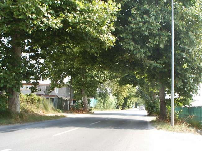 Pic_0013b