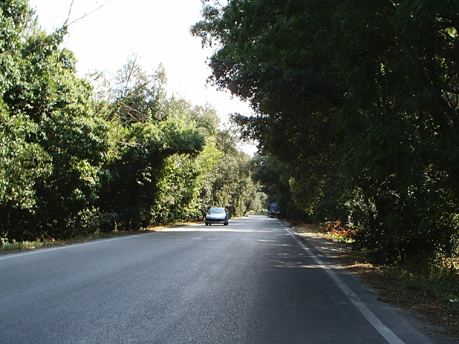 Pic_0016b