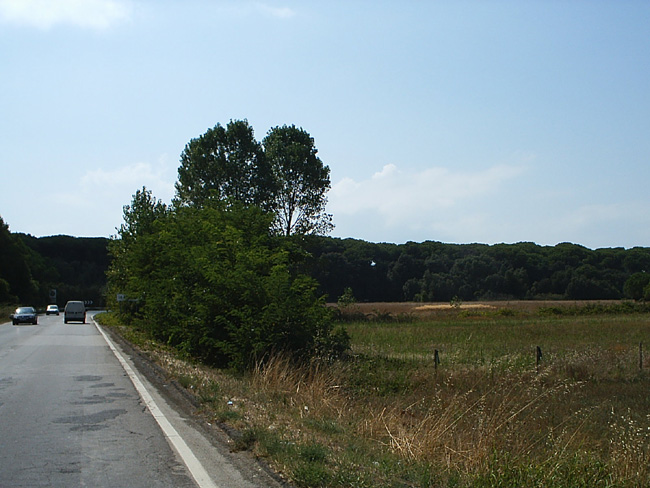 Pic_0018b