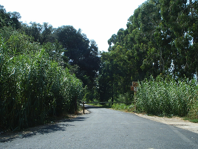 Pic_0020b