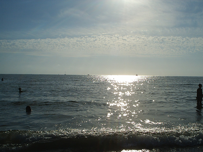 Pic_0022b