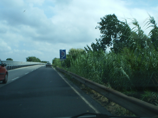 Pic_0024b