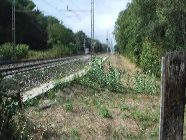 Pic_0027b