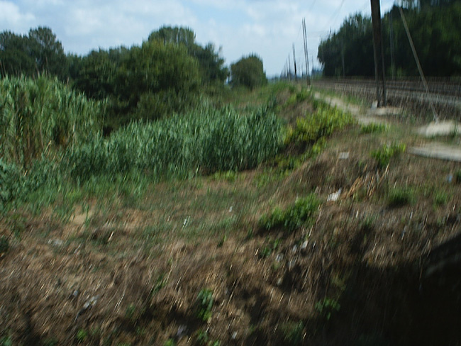 Pic_0028b