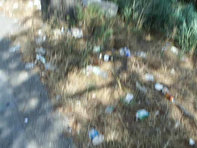 Pic_0031b